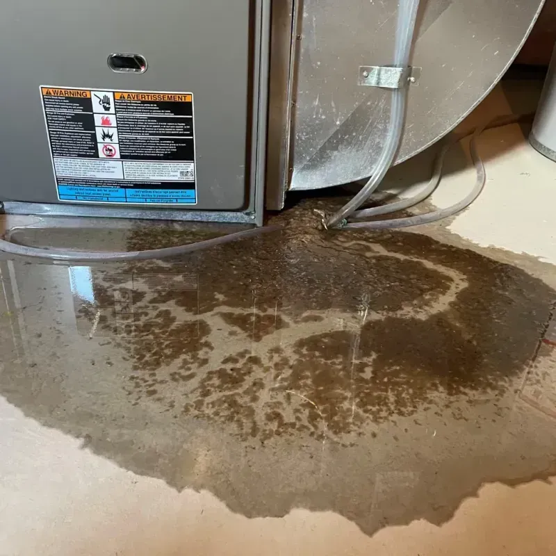 Appliance Leak Cleanup in Goodman, MS